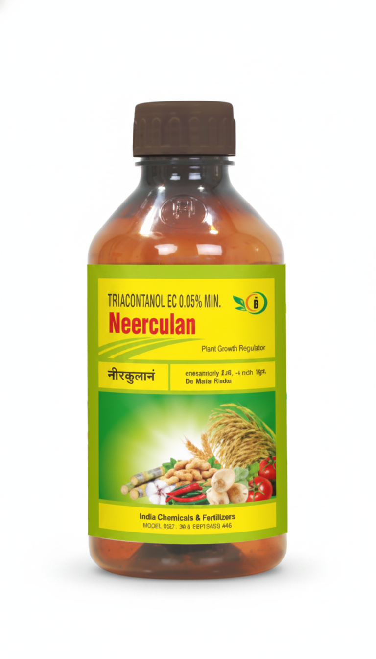 Neerculan